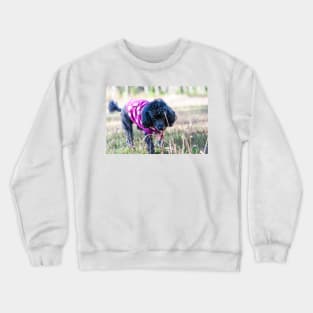 Welcome to the Jungle Crewneck Sweatshirt